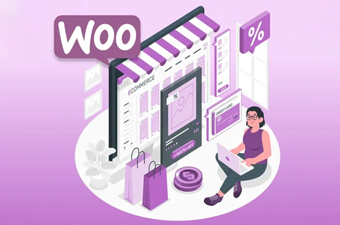 WooCommerce Development Company in Delhi NCR service by ALL2ALL